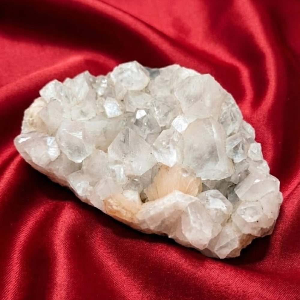 Himalayan Cluster