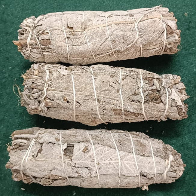 Sage