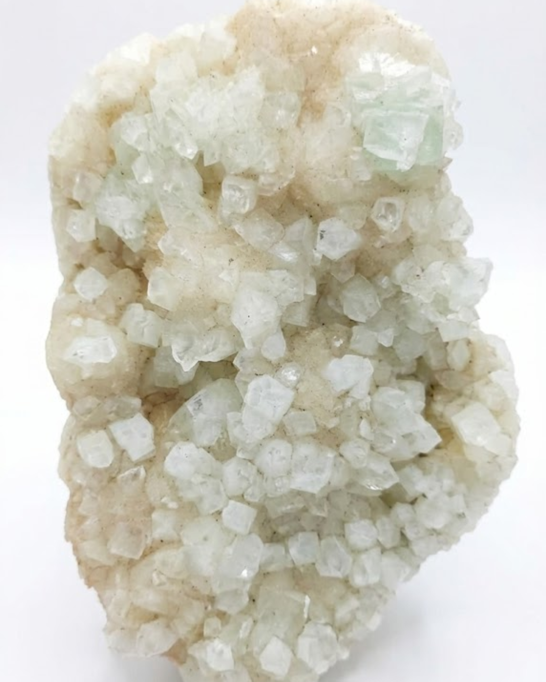 Himalayan Cluster